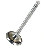 Exhaust Valve